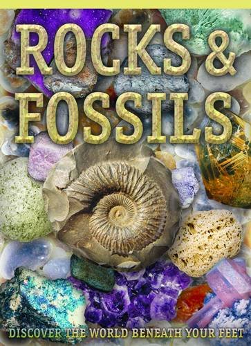 Rocks and Fossils