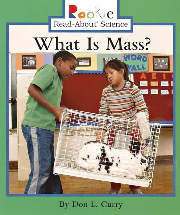 What Is Mass?