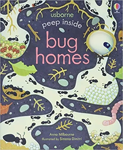 Peep Inside Bug Homes