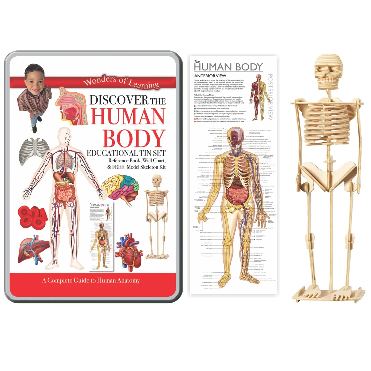 Wonders of Learning Discover Human Body Educational Tin Set