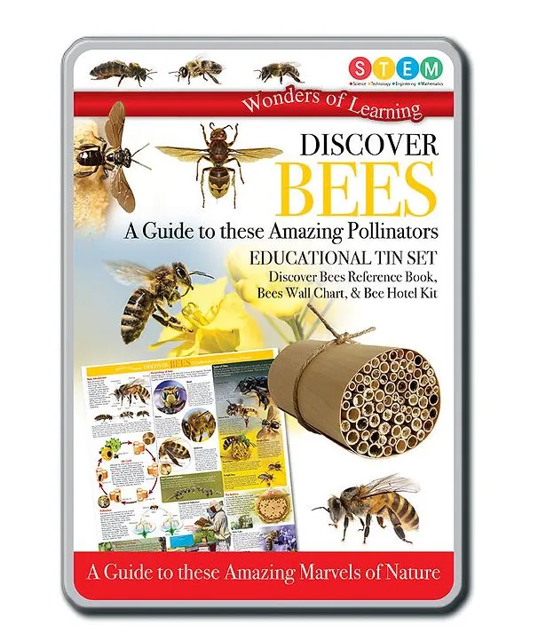 Wonders Of Learning Discover Bees Educational Tin Set